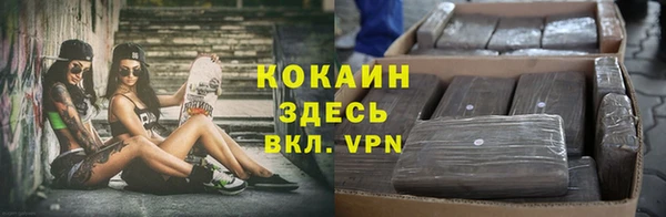 spice Аркадак