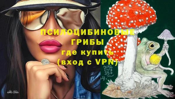 spice Аркадак