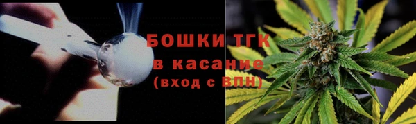 spice Аркадак